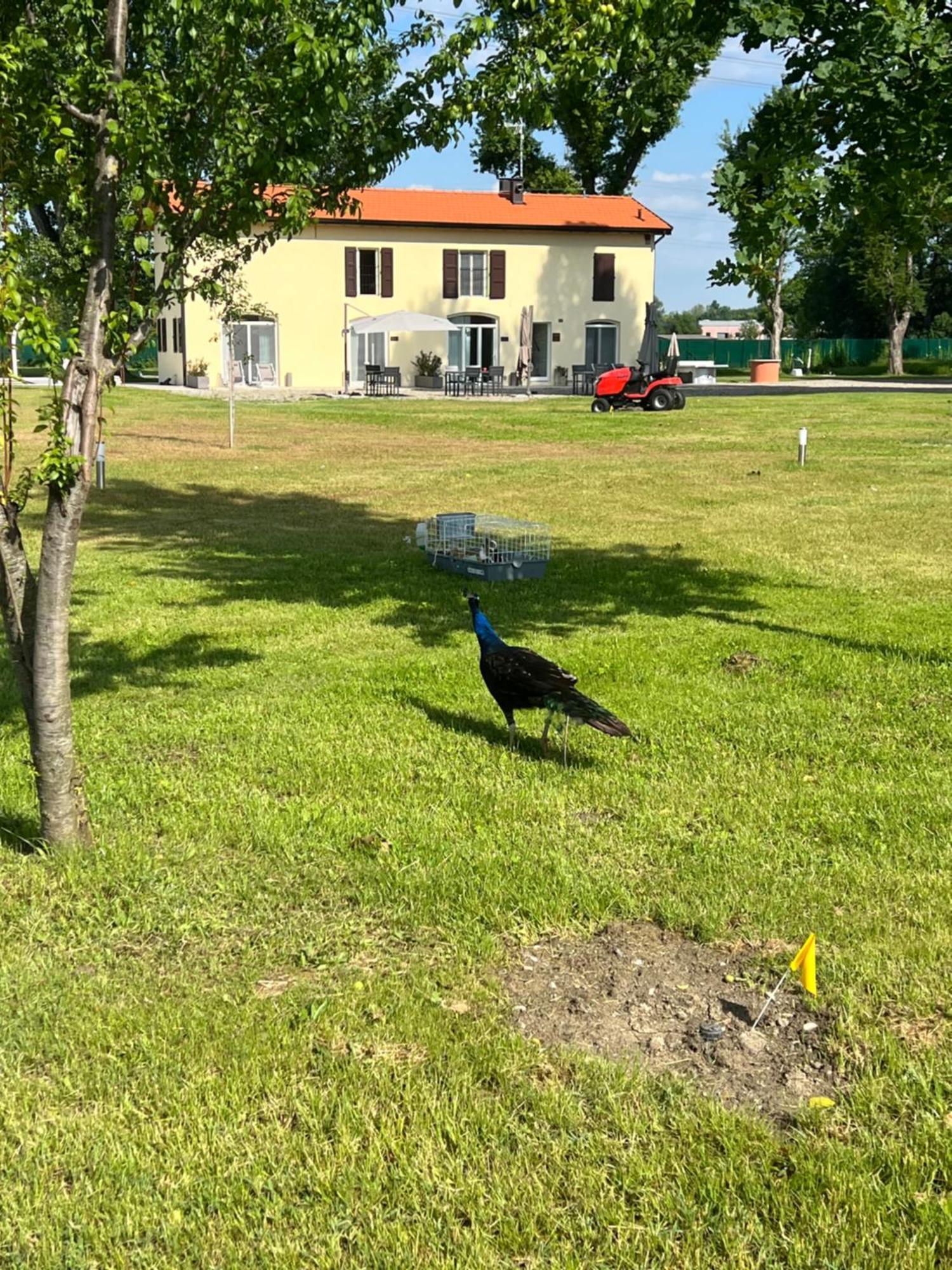Villa Iris Модена Екстер'єр фото